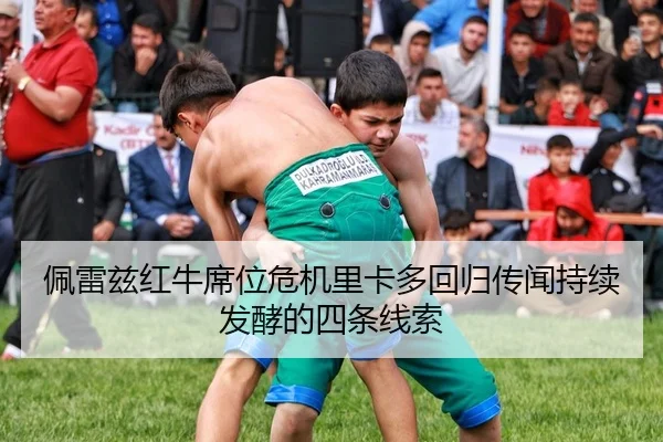 pei-lei-zi-hong-niu-xi-wei-wei-ji-li-ka-duo-hui-gui-chuan-wen-chi-xu-fa-jiao-de-si-tiao-xian-suo-2-414.jpg